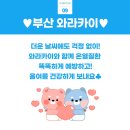 와라쉼터 이미지