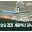 현리 주차장 이미지