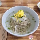 진영빈대떡 | 평양냉면맛집 진영면옥 물냉면, 빈대떡 + 블론드 커피 후기