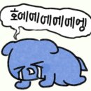 하윌