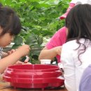 이소영피아노학원 이미지