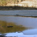 거북민박 이미지