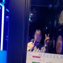 GOD 노래연습장 | [종각 나들이] 샤브샤브맛집 청록미나리식당 종각점 후기 🌿