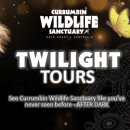 웜벳동물병원 이미지