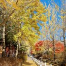 분수대(광장포함) 이미지