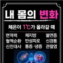 스무살에머물다당진읍내