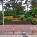 붉은오름자연휴양림 유아숲체험원 이미지