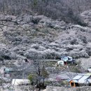 다목적광장2 이미지