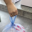 회조아