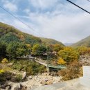 혜성가든 이미지