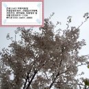 동일건설인력 이미지