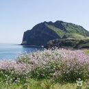 왕성축산 이미지