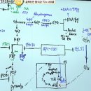 상보건설 | 노화, 암, 대사의 기본 토대(세포)- 박문호박사