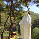 횡성전통시장 이미지