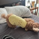 덕진종로약국 이미지