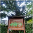 초록산 산림욕장 1 이미지