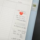 플라워바인 - 남구 유엔로 1 | W13. 야외스냅(모브앤바인) 웨딩촬영 후기