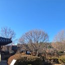 한옥집 | [창원 나들이] 창원의집 한옥 포토존 후기 | 창원 사림동 전통가옥 산책 코스