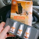 건강나누리약국 이미지