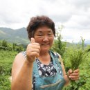 지리산농사꾼 - 산청군 동의보감로555번길 31 | 지리산농사꾼