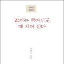 최성규 시인의 첫 시집『멸치는 죽어서도 떼 지어 산다』(詩와에세이, 2020) 이미지