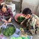 금강여관 이미지