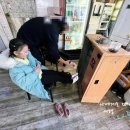 평창반점 | 평창 대관령 횡계 맛집, 대관령 반점 중국집 탕수육 후기