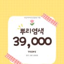 일번가헤어라인