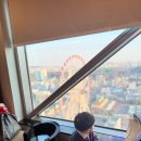 호텔치즈삼산점 | 울산 삼산 맛집 고급 룸식당 추천 봄경 롯데호텔 후기