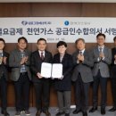 그린 CMS 이미지