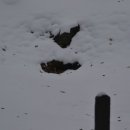 사적인 제주 이미지