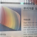 세브란스 병원 자원봉사... 이미지