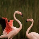 성당이비인후과의원 이미지