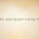 F81 이미지
