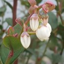 고창군공음보건지소 이미지