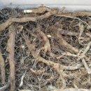 평강농장 이미지