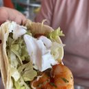 퀸즈블러바드 양양점 | 양양 맛집 핫플 퀸즈블러바드 타코 맛집 후기