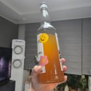 (주)씨노트 | [🍶취미기록] 담금주 거른 후기｜진피주 테이스팅노트