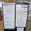 금백조로가든 | 제주 스누피가든 관람 후기 : 제주도여행 아이와 함께 가볼만한곳