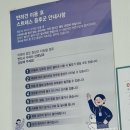 다올 그루밍 이미지