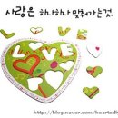 메디츠