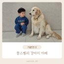 뭉스벨리 이미지