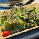 명원숯불갈비 | 천안 분위기 예쁜 신방동 너흐 데이트·기념일·생일 모임에 딱 맞는 고깃집