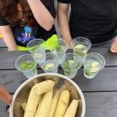 봉순펜션 이미지