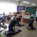 신자초등학교 Daum카페