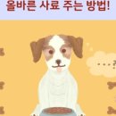 올바른동물병원 네이버블로그
