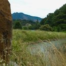 월용1리 이미지