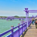 퍼플여행 이미지