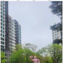 써밋공인중개사사무소 | 과천푸르지오써밋 신뢰와 인연을 잇는 금터공인중개사사무소의 비밀