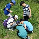 소안초등학교 이미지